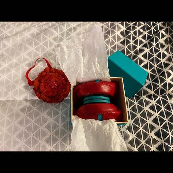 Limited edition sold out TLR Tieks - Picture 6 of 6